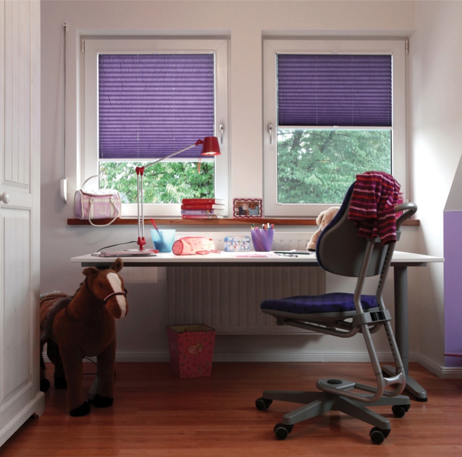 Pleated blinds - Carolina Blinds -  Blinds | Shutters | Awnings