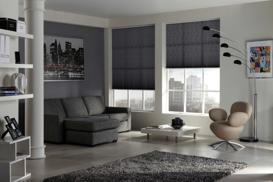 Pleated blinds - Carolina Blinds -  Blinds | Shutters | Awnings