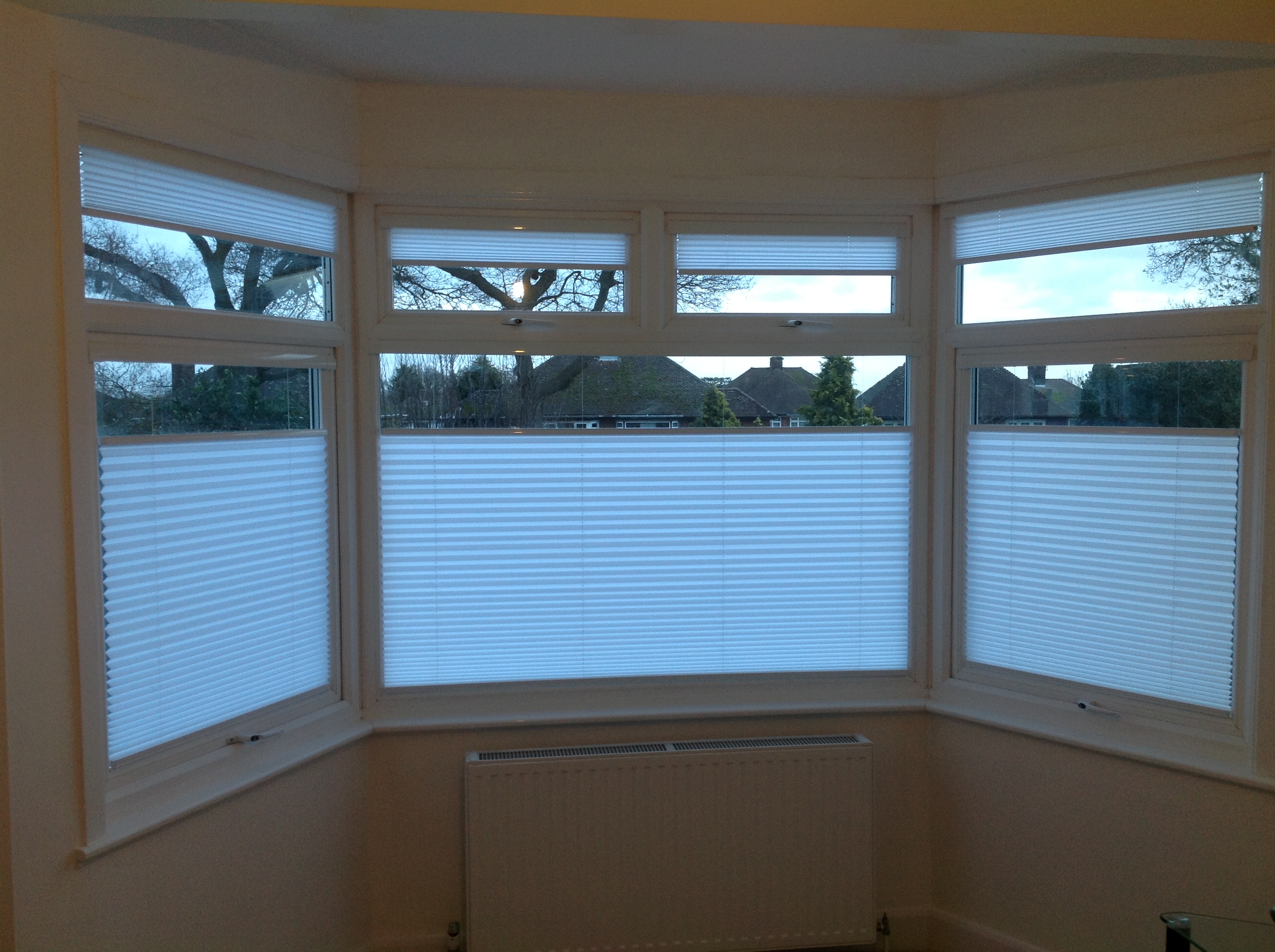 Pull up from bottom or down from top  - Pleated blinds -  Carolina Blinds